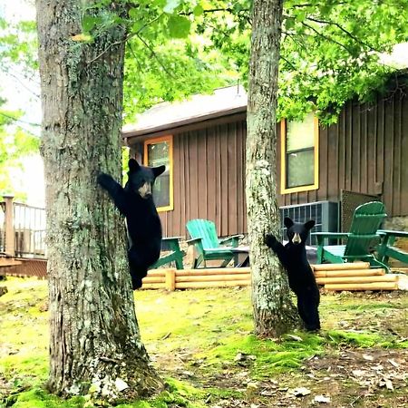 10 Miles Away From The Heart Of It All! Pigeon Forge Exteriér fotografie