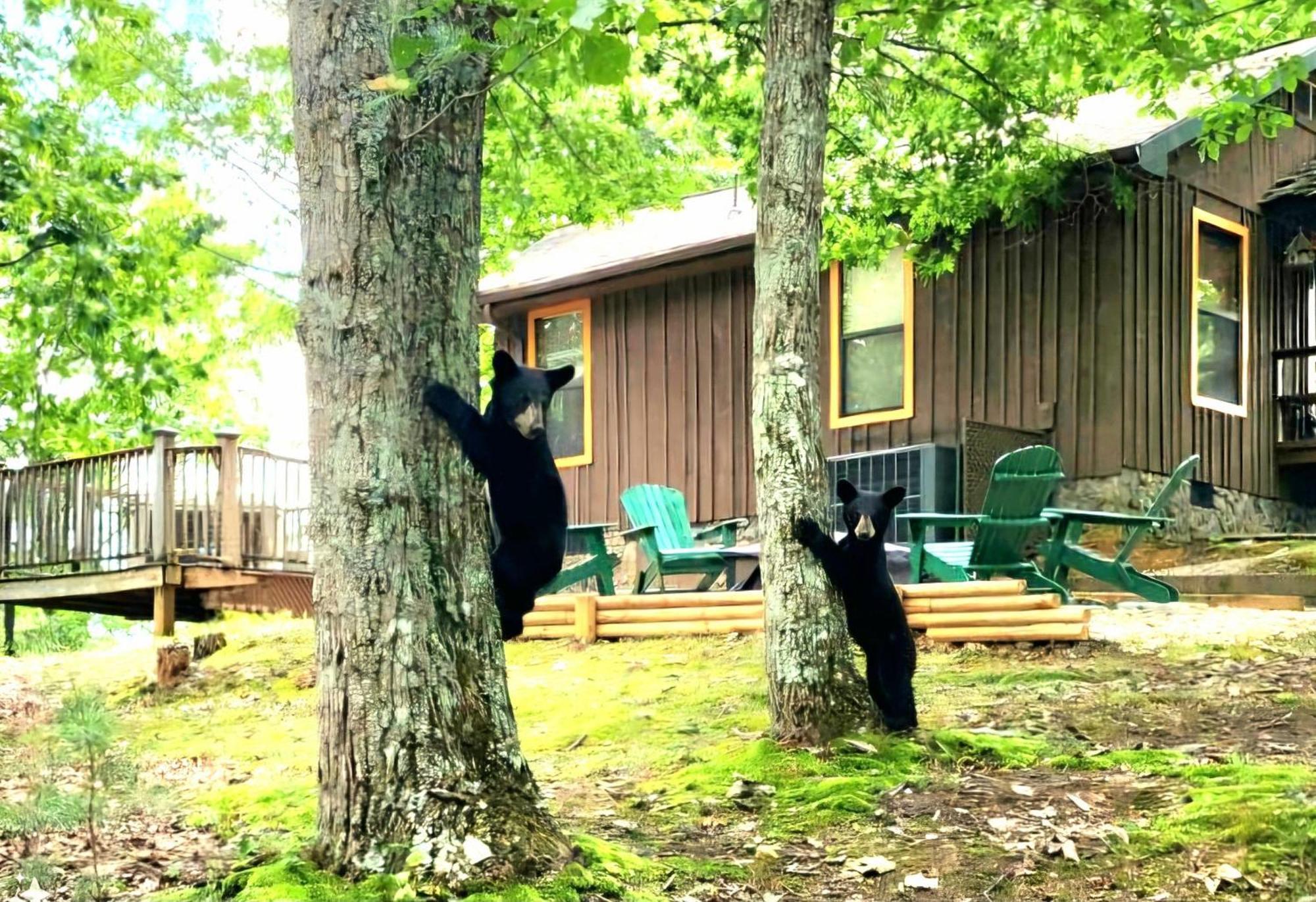 10 Miles Away From The Heart Of It All! Pigeon Forge Exteriér fotografie